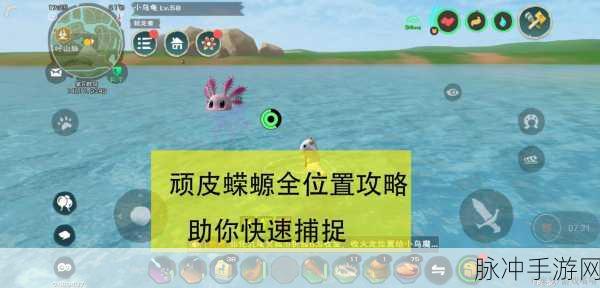 创造与魔法，顽皮蝾螈轻松抓取全攻略