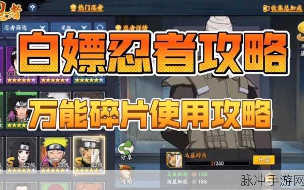 火影忍者手游前期攻略，精英副本扫荡策略深度解析