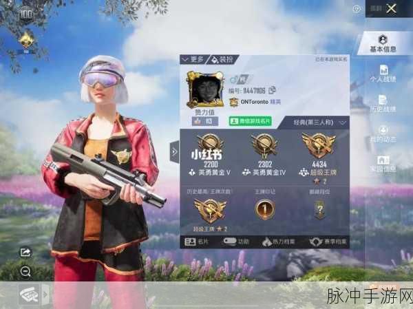 和平精英单字ID大全，解锁个性，驰骋战场