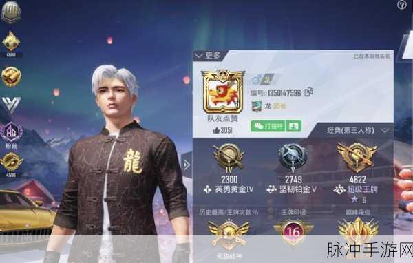 和平精英单字ID大全，解锁个性，驰骋战场