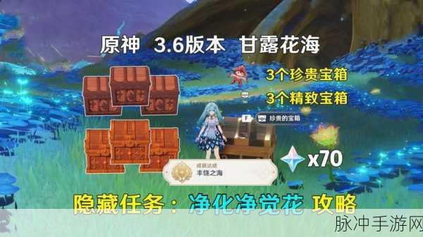 原神净觉花任务全面完成攻略介绍
