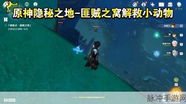 原神调查点匪贼之窝任务全攻略,如何顺利完成任务