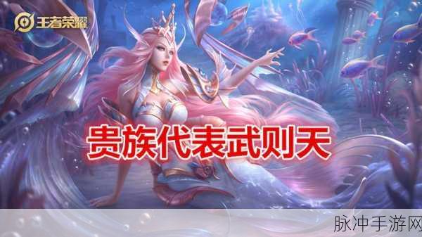 王者荣耀，武则天玩法秘籍大公开