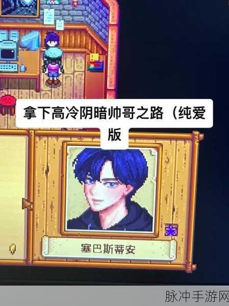 星露谷物语深度攻略，如何赢得塞巴斯蒂安的青睐