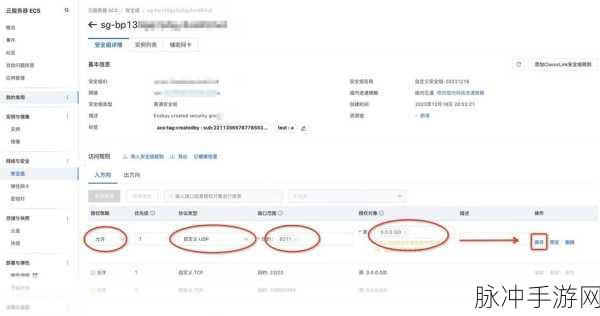 幻兽帕鲁服务器配置全解析 助力畅玩游戏之旅