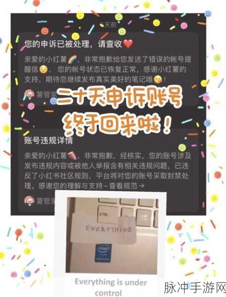 和平精英封号十年解封可能性及背后机制探究