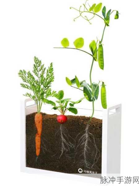 我的世界树为何不生长？——探索虚拟世界植物生长的奥秘