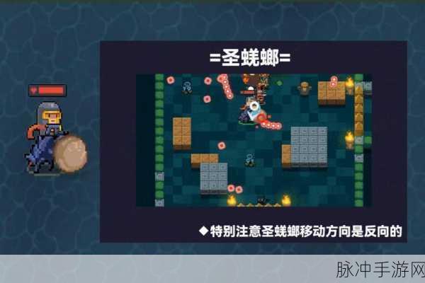 元气骑士，揭秘倔强蜣螂的奇妙用途与攻略指南