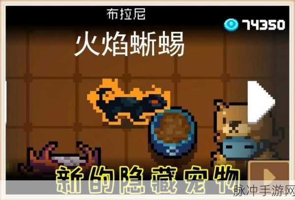 元气骑士，揭秘倔强蜣螂的奇妙用途与攻略指南