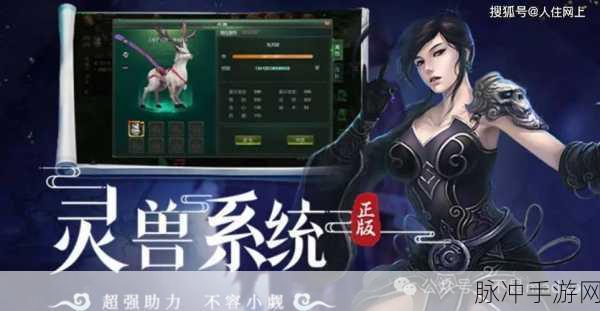 手游秘籍，深入探索游戏策略与技巧