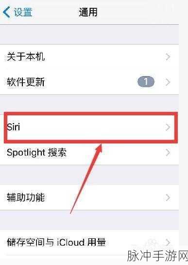 iPhone X Max双击截屏全攻略,手游玩家的必备技巧
