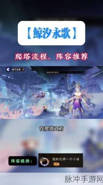 阴阳师斗技最强阵容2024，千姬斗技无麓丸无腹肌上名仕攻略