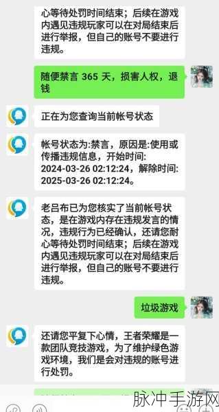 王者荣耀禁言处罚减免效果究竟如何