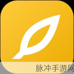 WPS 便签密码锁遗忘？手游数据安全指南