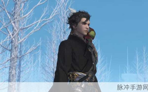 古剑奇谭3鼎湖钓鱼点全攻略，探寻冰晶湖的奥秘