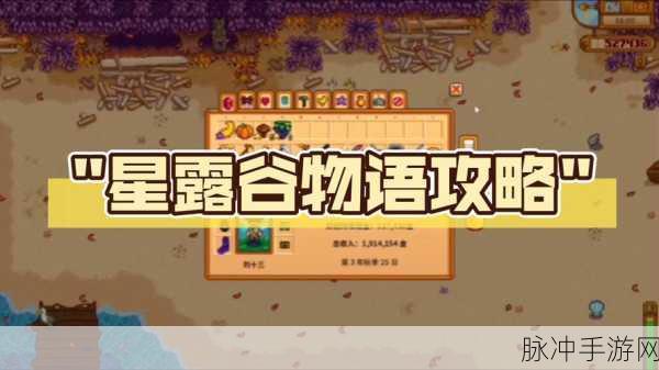 星露谷物语，全面获取干草攻略，带你深入探索干草获取途径