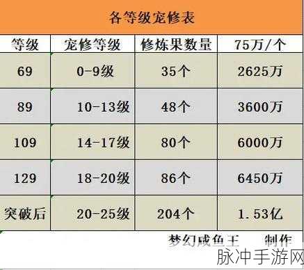 梦幻西游修炼果与修炼经验的深度解析