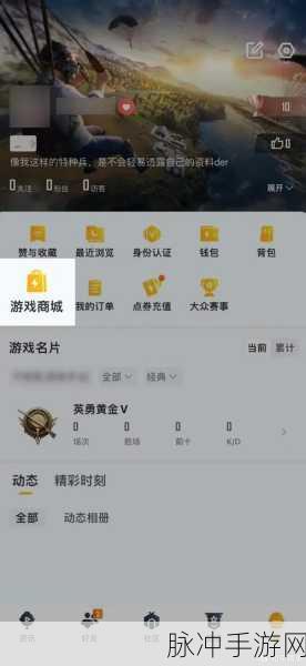 和平精英赛季手册总积分，解锁游戏新境界的钥匙