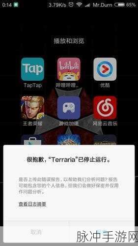 泰拉瑞亚创建人物闪退怎么办？全面解析闪退解决方法