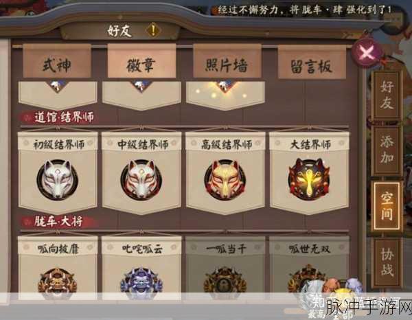 阴阳师游戏照片墙个性化设置指南，解锁你的专属风采与摆放技巧分享