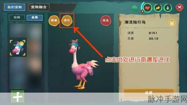创造与魔法手游攻略，进阶宠物哪个最强？