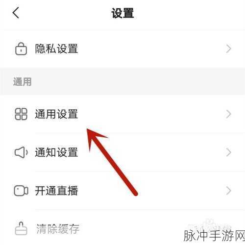 快手极速版视频和语音接收问题全解析