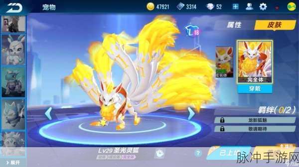 QQ飞车手游宠物获取全攻略，解锁你的赛道伙伴