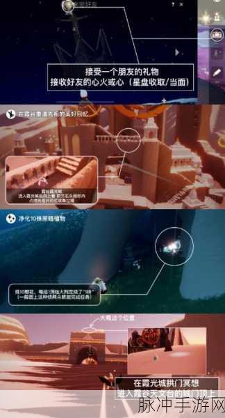 光遇手游攻略，揭秘星光沙漠玫瑰花任务的完成之道