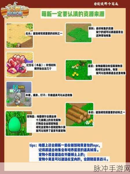 我的世界新手村建造指南，从零开始，萌新秒变家园建筑师的高效安家策略