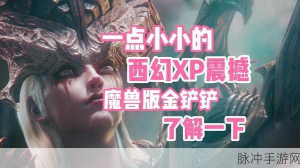 龙息神寂手游攻略，揭秘骄阳玫瑰阿西莉亚技能与战术