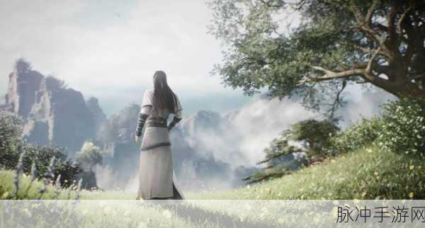 仙剑奇侠传5，重塑仙侠世界的奇缘再续传奇冒险之旅