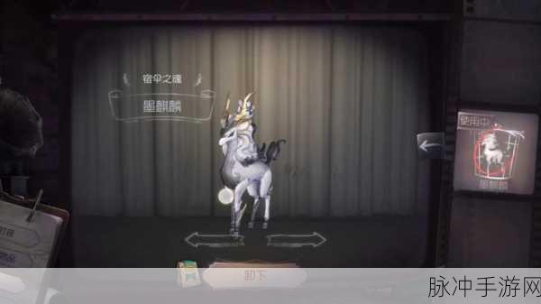 第五人格物品大全深度解析与攻略指南