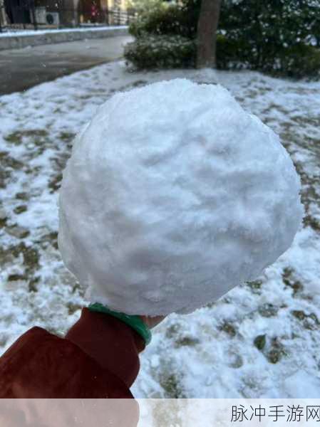 球球大作战雪仗攻略，解锁冰雪大乱斗的制胜秘籍