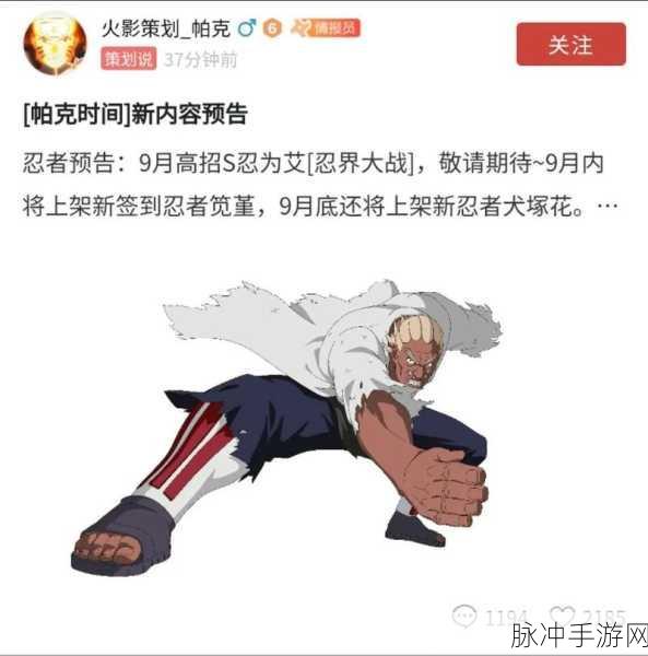 火影忍者手游9月高招忍者全面爆料及攻略指南