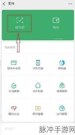 绝地求生攻略秘籍，全面剖析手游中改名字的实用方法与技巧