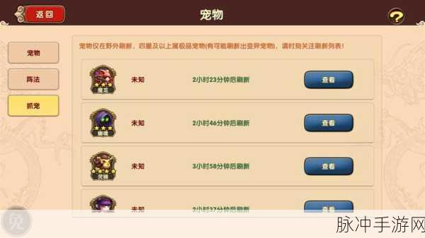 太极熊猫金币获取全攻略，积累金币有妙招