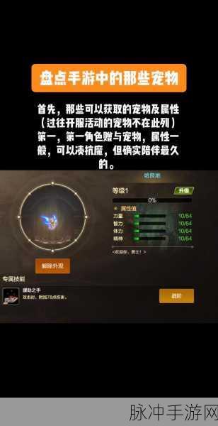 DNF手游五星宠物获取与宠物系统玩法全攻略