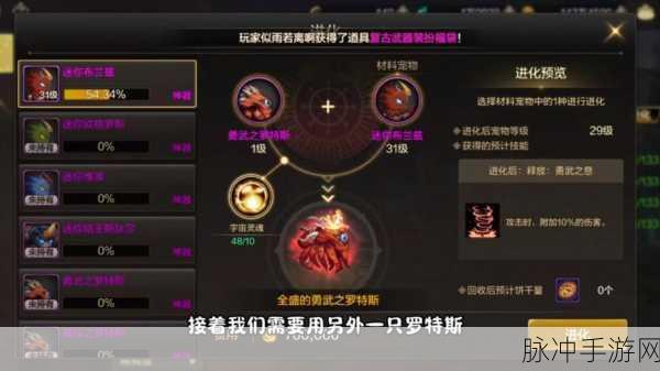 DNF手游五星宠物获取与宠物系统玩法全攻略