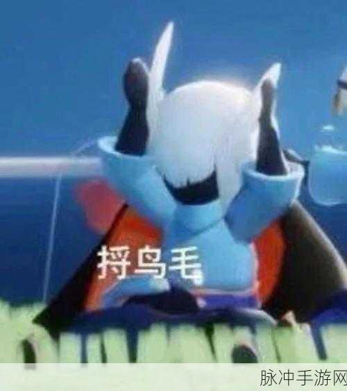 光遇表情菜单激活全解析