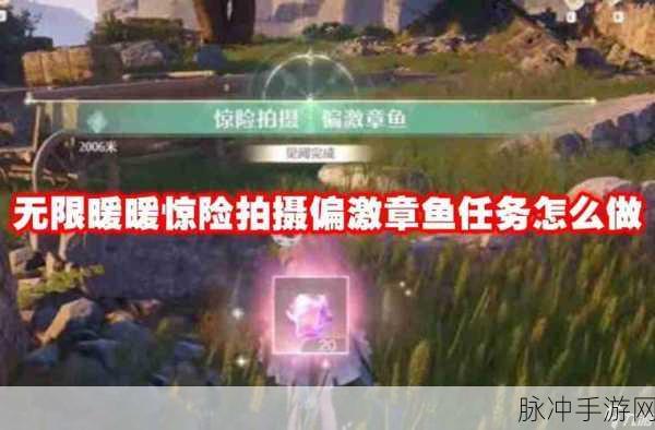 无限暖暖，惊险拍摄偏激章鱼任务全攻略