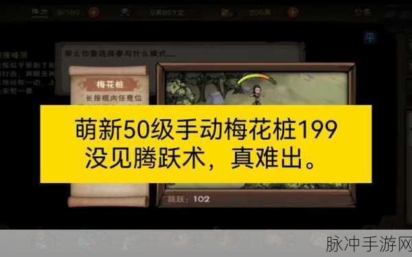 烟雨江湖安卓及iOS梅花桩全自动脚本设置深度攻略