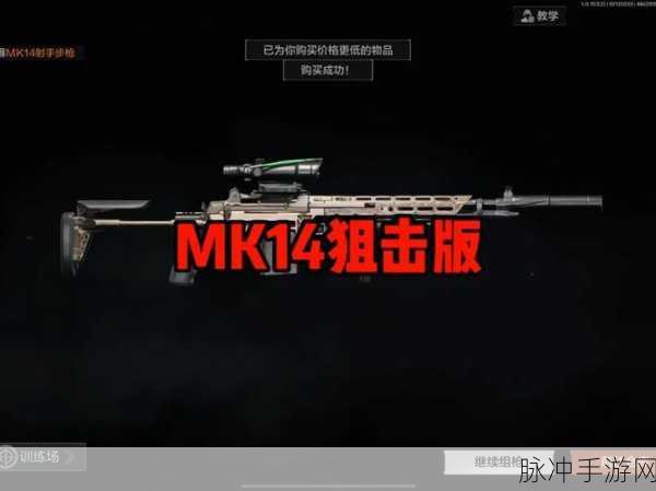 暗区突围，深度解析 MK14 的强大实力