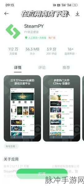 Steam 手机版游戏轻松安装指南