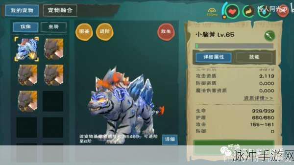 创造与魔法，皎晶白虎深度解析与攻略指南