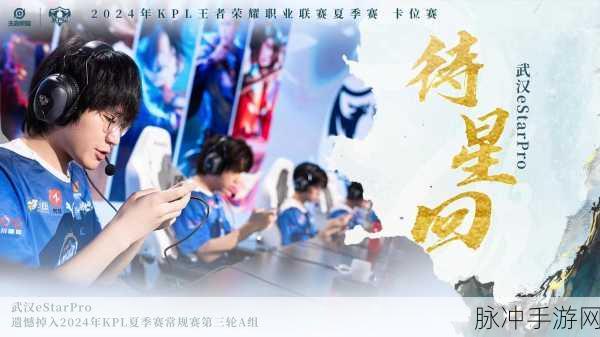 欢乐狼人杀狼队配合全攻略,揭秘狼队致胜技巧