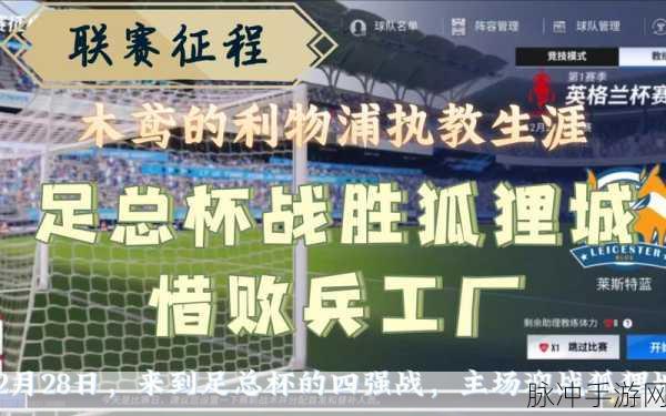 绿茵信仰联赛，深度剖析训练与发展策略