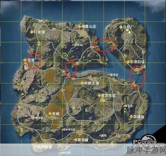 绝地求生全军出击守桥攻略，掌握高效守桥方法，成为战场王者