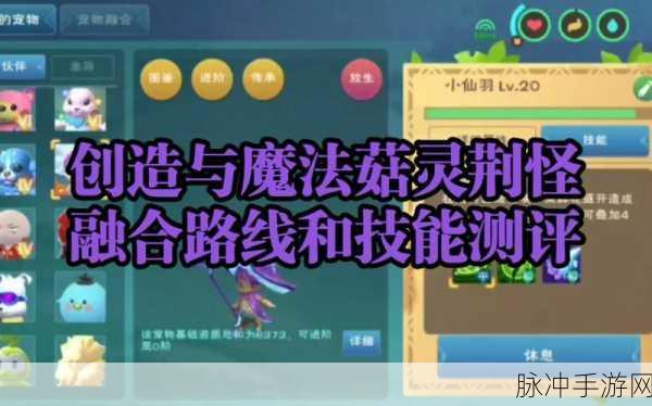 创造与魔法新融合宠菇灵荆怪深度解析，奇妙之旅的全新探索