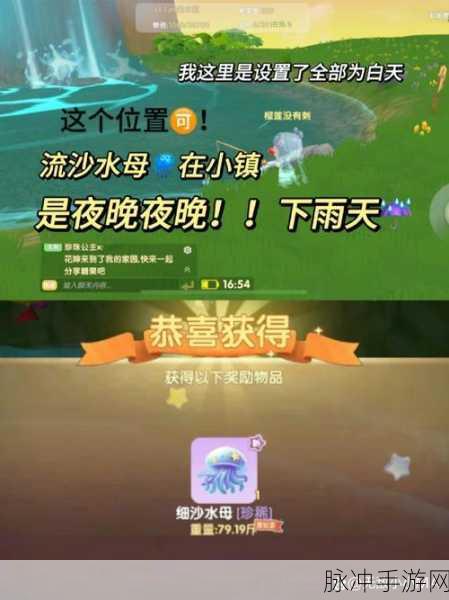 摩尔庄园手游小镇捐赠全攻略，捐赠位置及捐赠消耗详解