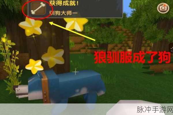 迷你世界驯服狼的全方位指南